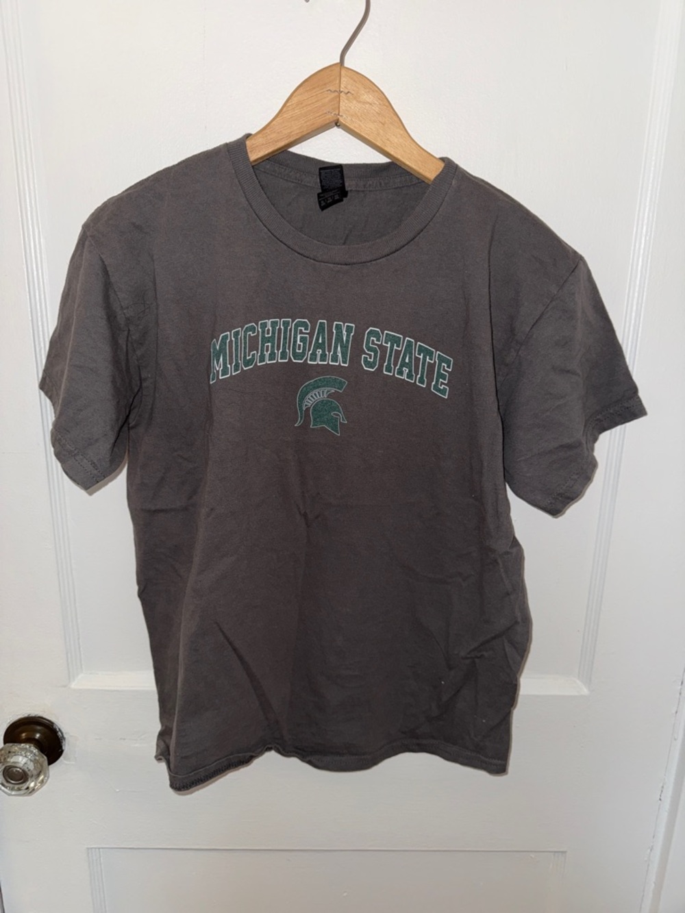 Michigan State University